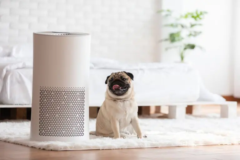 What You Need to Know About Air Purifier Science