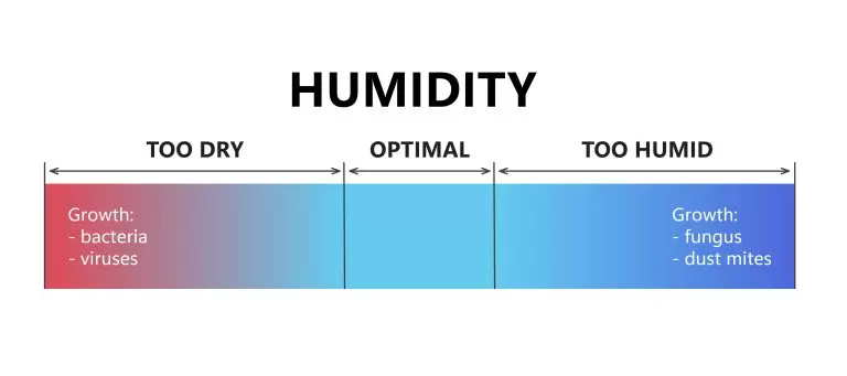 Understand All the Pros and Cons of In-Home Humidity