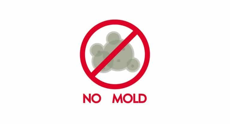 Find Out How to Prevent HVAC Mold from Developing