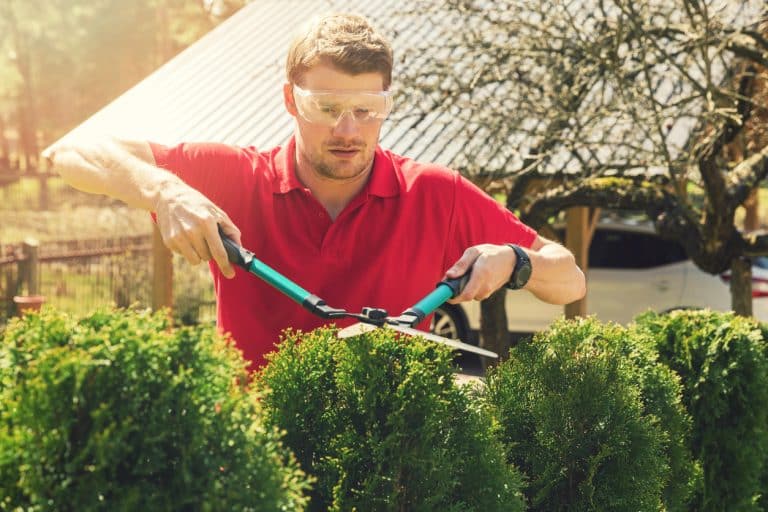 How a Good Spring Cleaning Can Benefit Your HVAC Unit