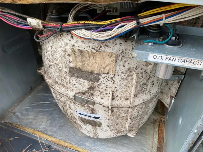 During the Summer, Don’t Let Mold in HVAC Set You Back