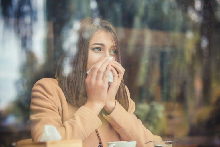 Find Out What Causes Fall Allergies and How Your HVAC Can Help